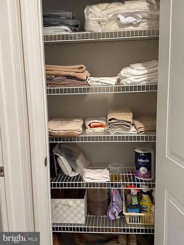 view of closet