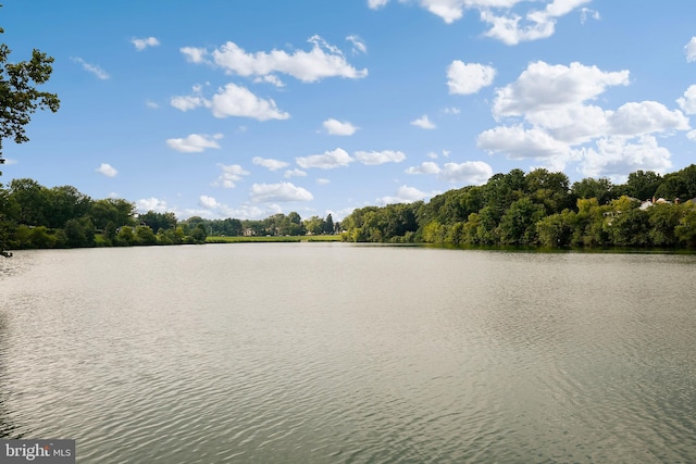 water view featuring a heavily wooded area