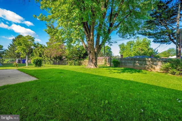 1426 W 11th St, Frederick, MD 21702 - view of yard