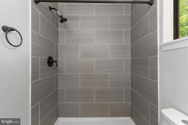 228 Doe Trl, Winchester, VA 22602 - bathroom with a tile shower and toilet