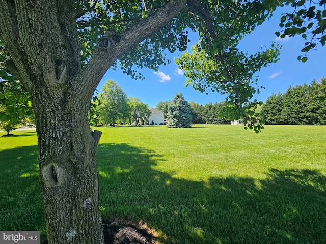 123 Nantucket Dr, Middletown, DE 19709 - view of grassy yard
