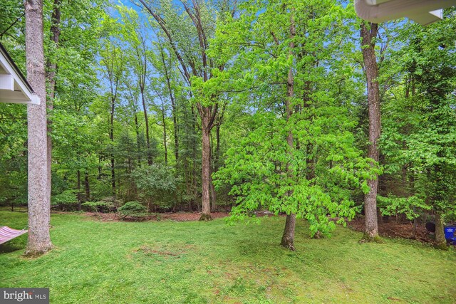 view of grassy yard