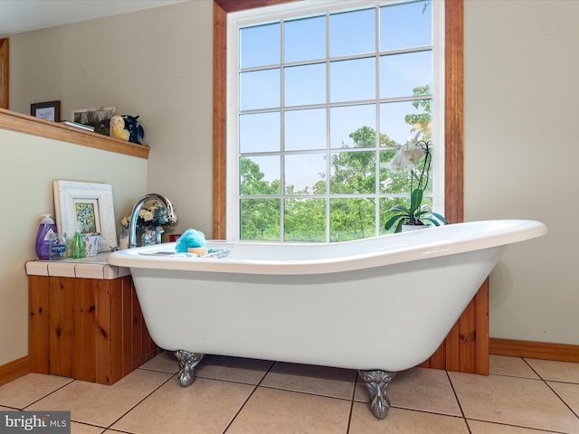 227 Haines Dr, Capon Bridge, WV 26711 - full bathroom featuring tile patterned flooring, baseboards, and a freestanding bath