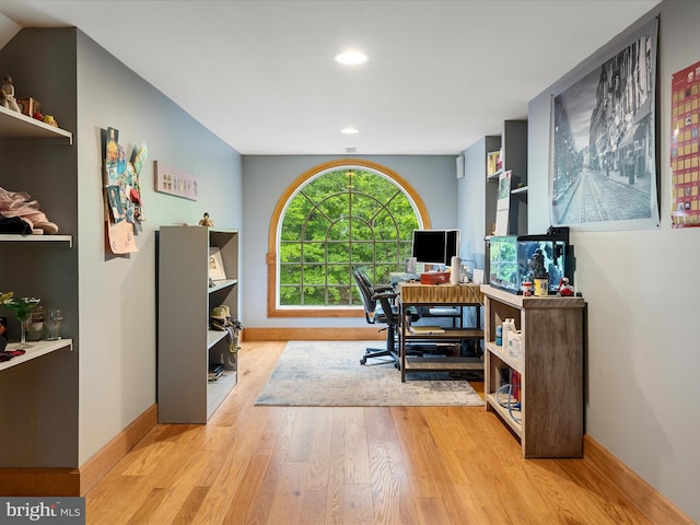 227 Haines Dr, Capon Bridge, WV 26711 - office with wood finished floors, baseboards, and recessed lighting