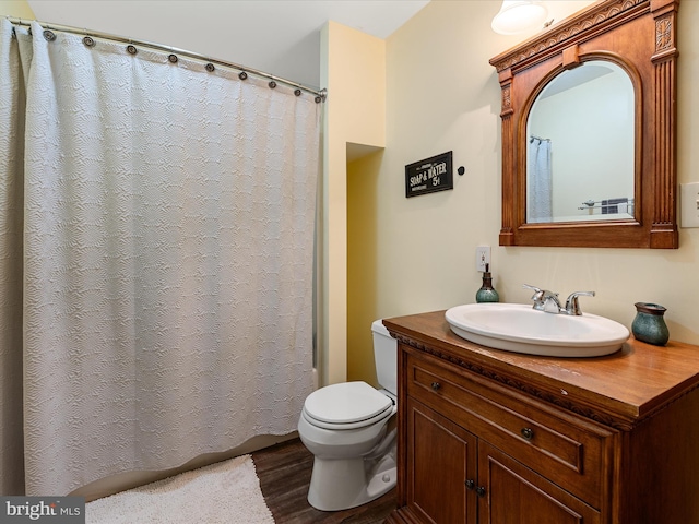 227 Haines Dr, Capon Bridge, WV 26711 - full bath featuring toilet, vanity, wood finished floors, and a shower with curtain