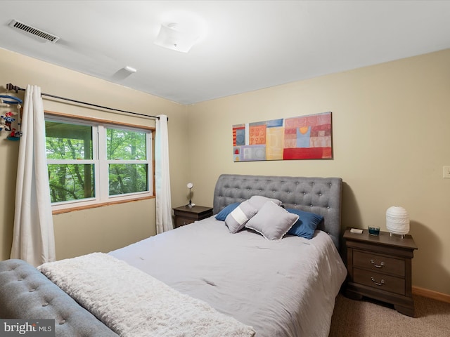 227 Haines Dr, Capon Bridge, WV 26711 - carpeted bedroom with baseboards