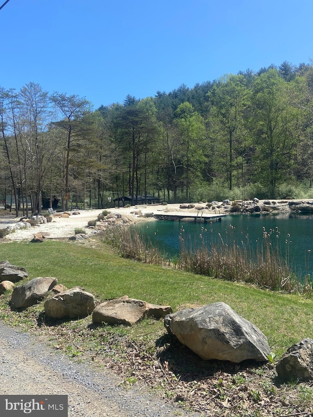 227 Haines Dr, Capon Bridge, WV 26711 - view of yard featuring a view of trees
