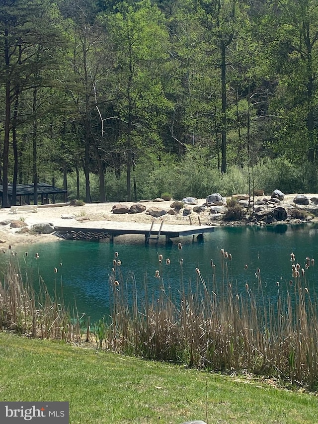 227 Haines Dr, Capon Bridge, WV 26711 - water view with a forest