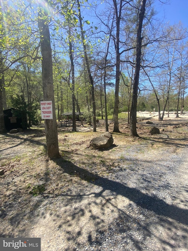 227 Haines Dr, Capon Bridge, WV 26711 - view of yard