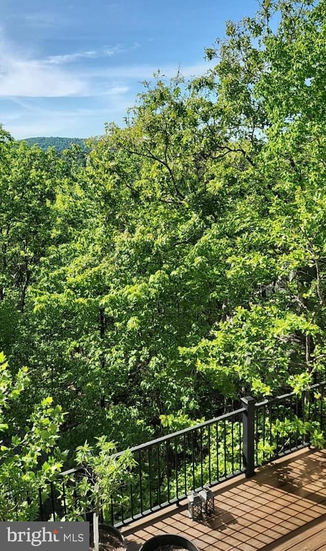 227 Haines Dr, Capon Bridge, WV 26711 - view of wooden deck
