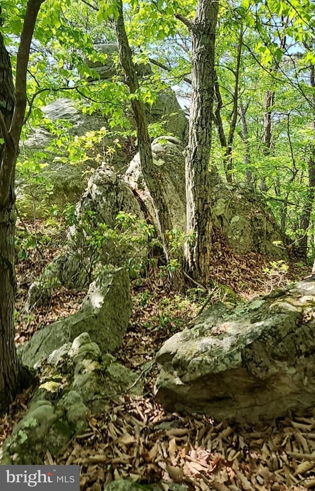 227 Haines Dr, Capon Bridge, WV 26711 - view of woods