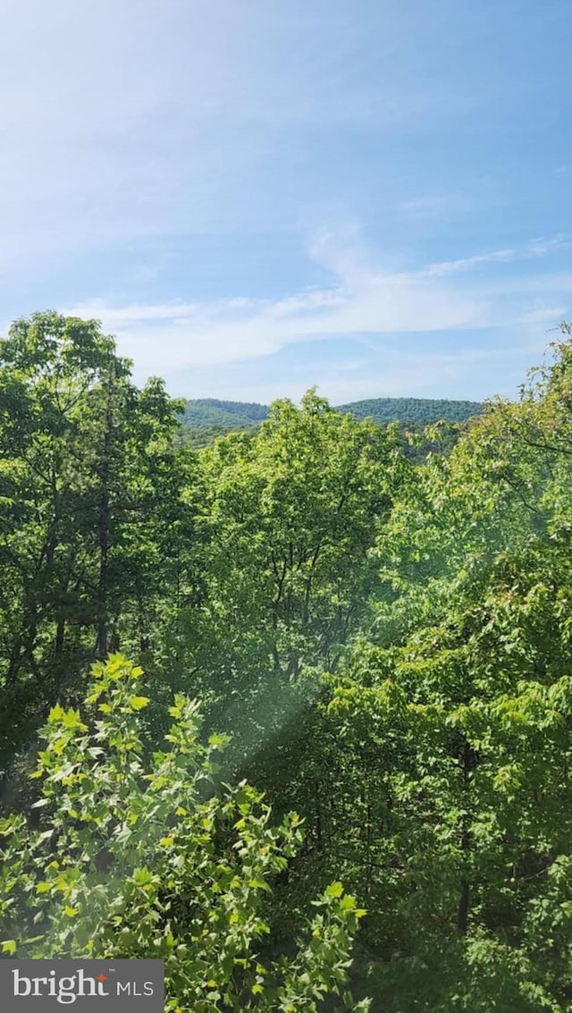 227 Haines Dr, Capon Bridge, WV 26711 - mountain view featuring a heavily wooded area