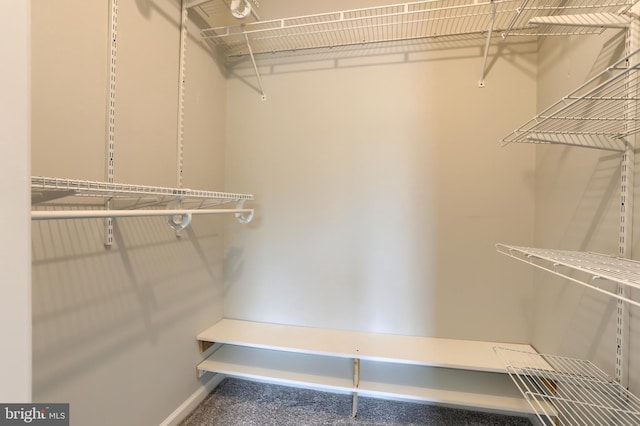 view of spacious closet