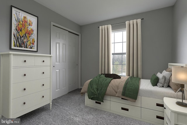 bedroom featuring carpet floors and a closet