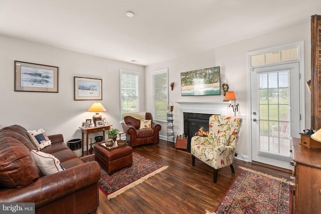 living room with a glass covered fireplace, wood finished floors, plenty of natural light, and baseboards