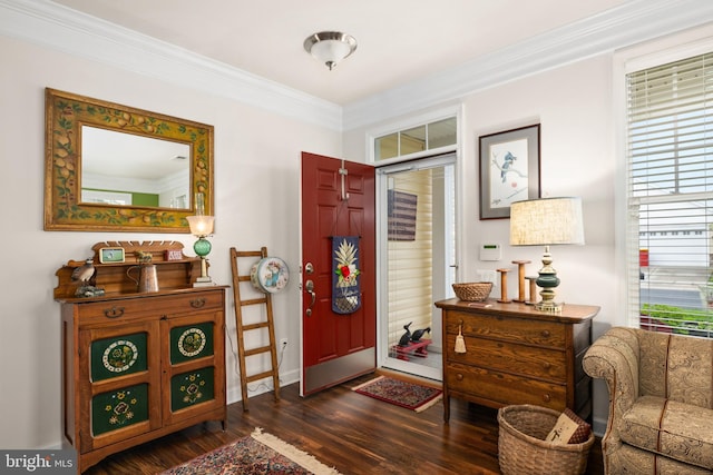 entrance foyer featuring ornamental molding and dark wood finished floors