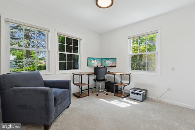 6311 Gentele Ct, Alexandria, VA 22310 - carpeted office with baseboards