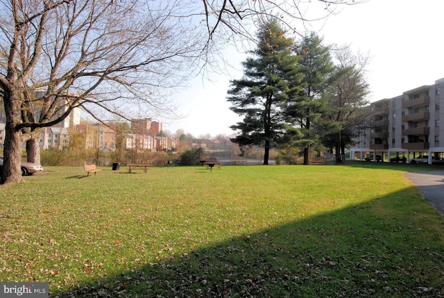 view of grassy yard