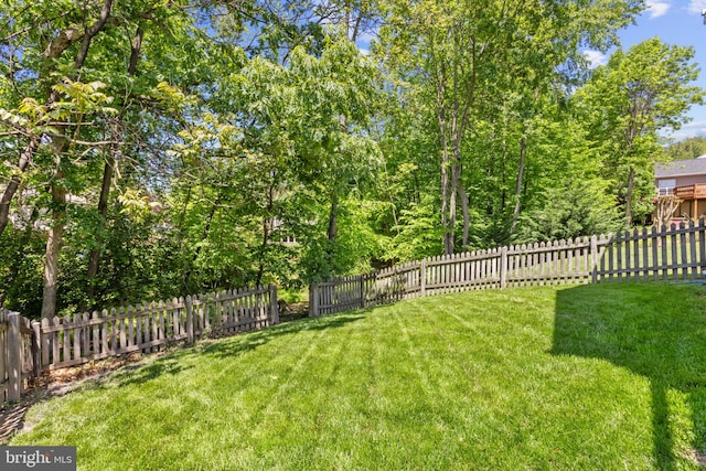 view of yard