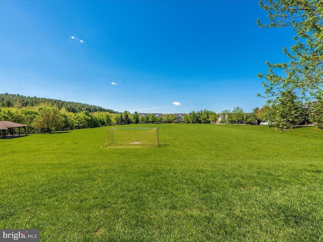 view of yard with an area for sports