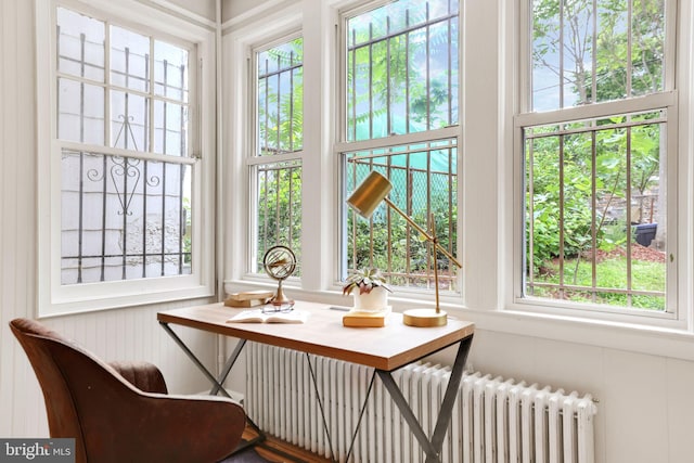 2420 2nd St NE, Washington, DC 20002 - office featuring radiator heating unit and plenty of natural light