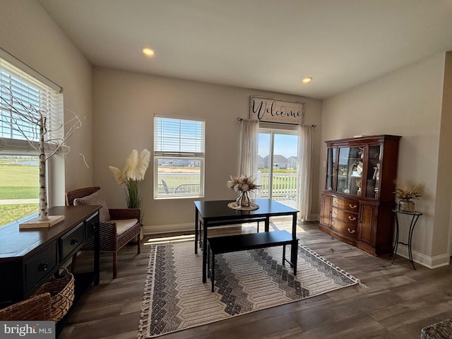 35342 Wright Way, Millsboro, DE 19966 - dining space featuring baseboards, wood finished floors, and recessed lighting