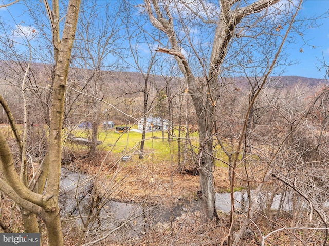 view of yard with a mountain view