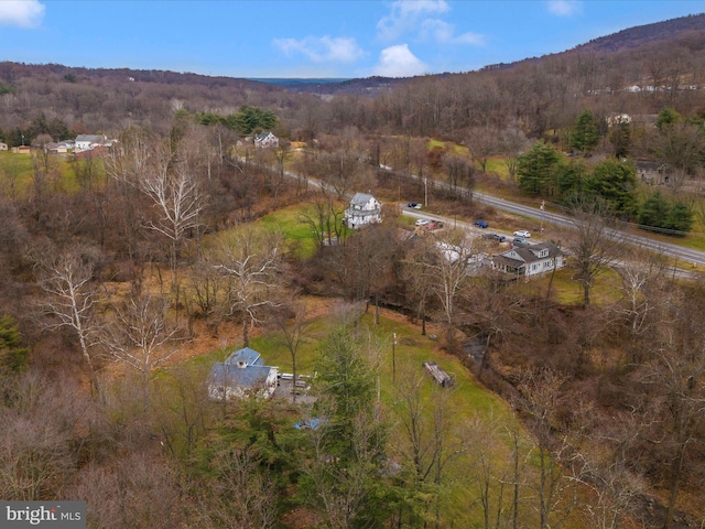 drone / aerial view of a forest