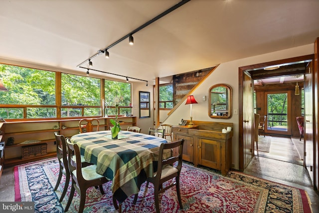 dining space featuring rail lighting