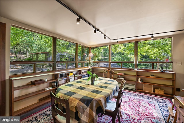 sunroom with rail lighting, a baseboard heating unit, and plenty of natural light