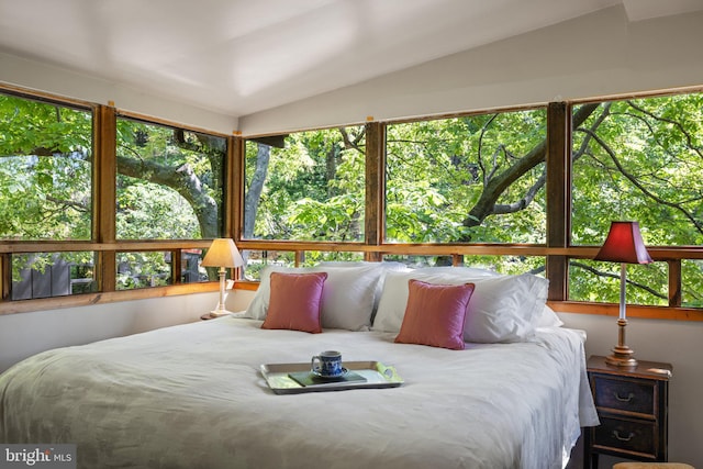 bedroom with vaulted ceiling