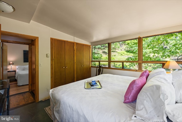 bedroom with vaulted ceiling and a closet