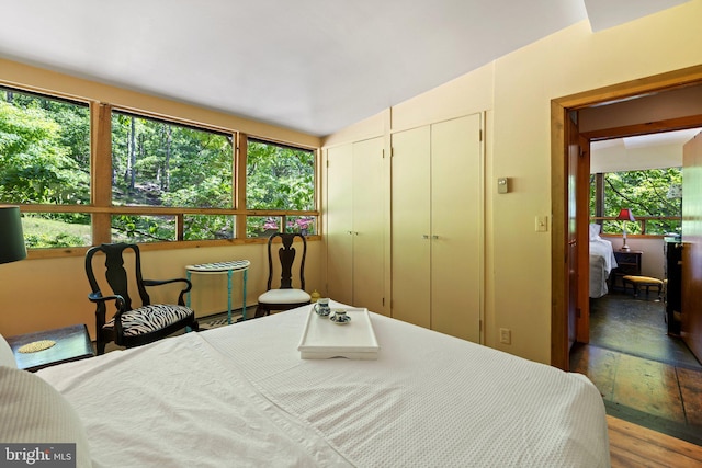 bedroom with two closets, wood finished floors, and lofted ceiling