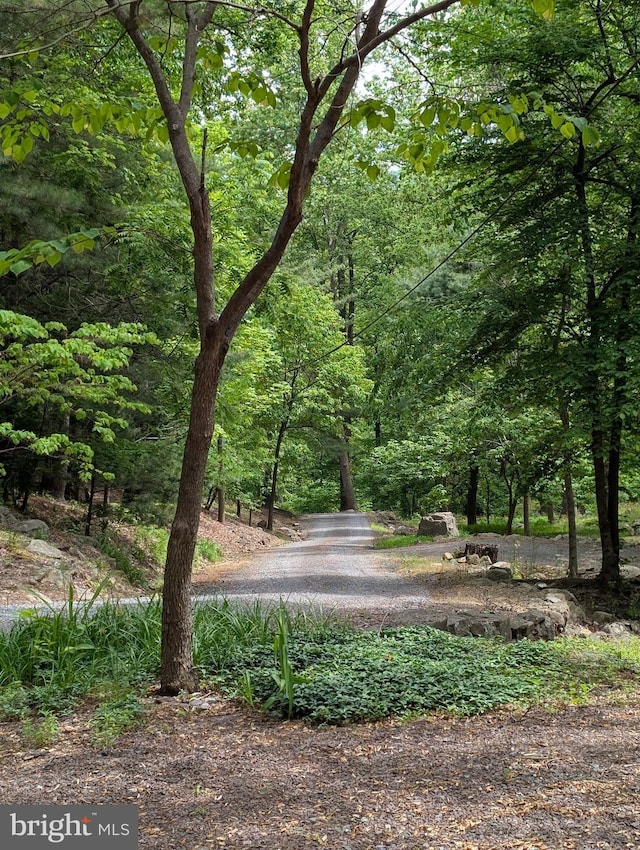 surrounding community featuring a wooded view