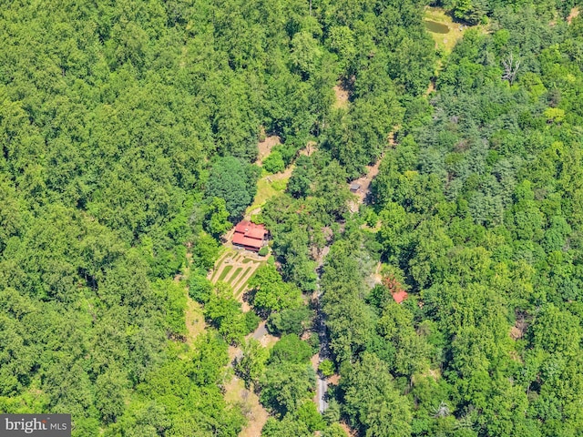 view of property location featuring a heavily wooded area