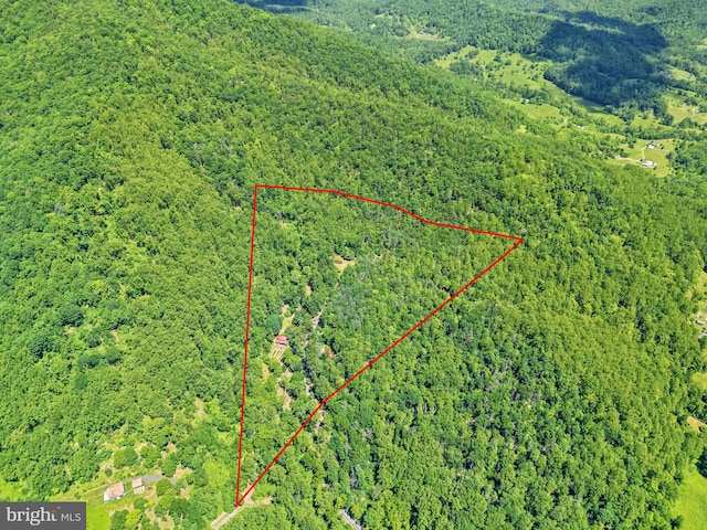 aerial view of property and surrounding area with a heavily wooded area and property parcel outlined