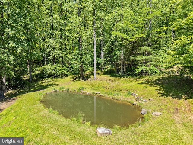 view of yard featuring a forest view