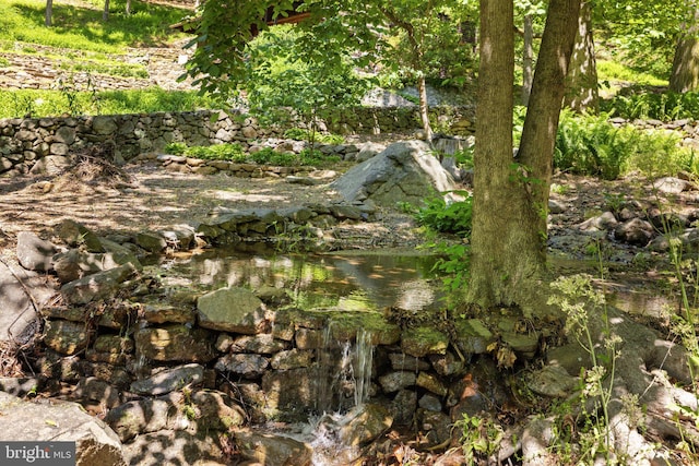 view of nature