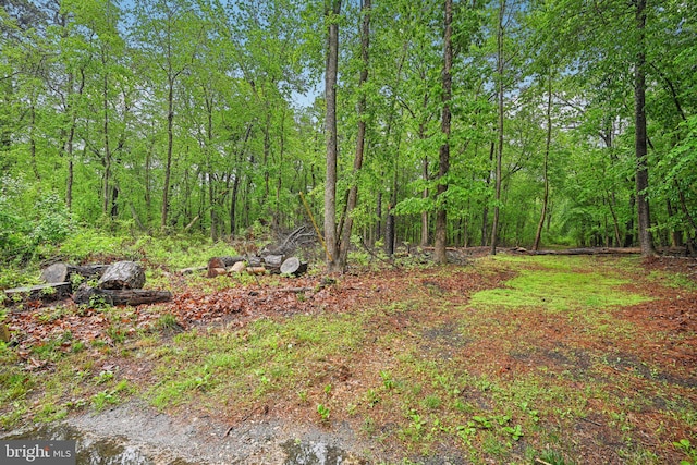 184 Chatham St, Pemberton, NJ 08015 - view of yard featuring a wooded view