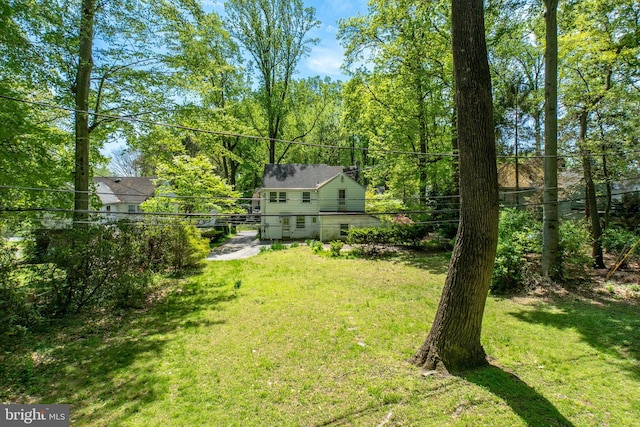view of grassy yard