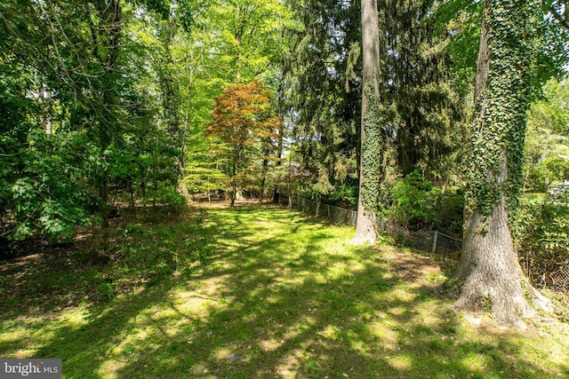 view of yard with a wooded view
