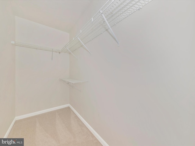 9034 Allington Manor Cir W, Frederick, MD 21703 - walk in closet featuring light carpet