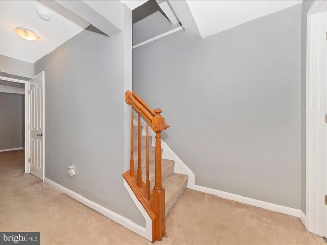 9034 Allington Manor Cir W, Frederick, MD 21703 - staircase featuring carpet floors and baseboards