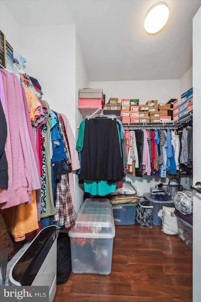 307 Obelisk Ln, Middletown, DE 19709 - walk in closet with wood finished floors