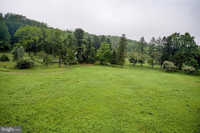 3864 Spring Valley Rd, Doylestown, PA 18902 - view of yard
