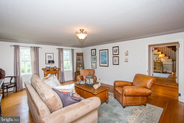 3864 Spring Valley Rd, Doylestown, PA 18902 - living room with light wood finished floors, a textured ceiling, and baseboards