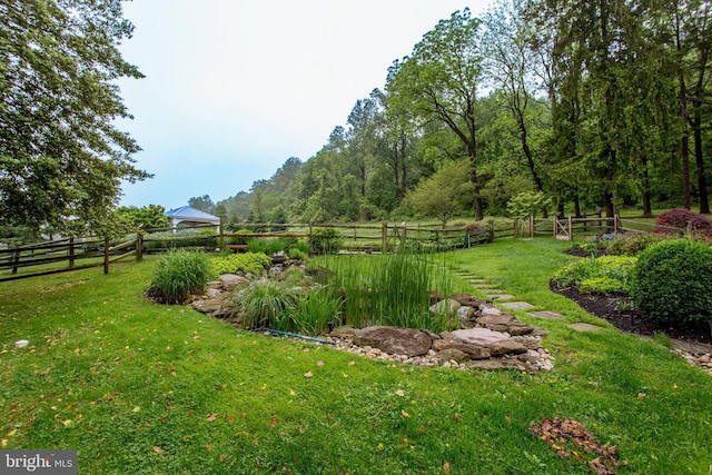 3864 Spring Valley Rd, Doylestown, PA 18902 - view of yard