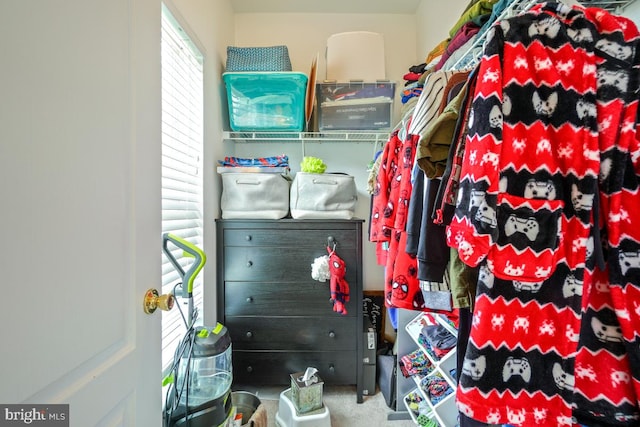 13304 Tivoli Fountain Ct, Germantown, MD 20874 - view of spacious closet