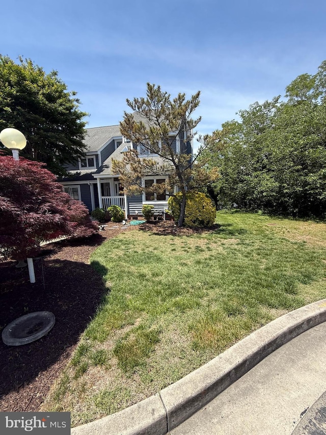 view of grassy yard
