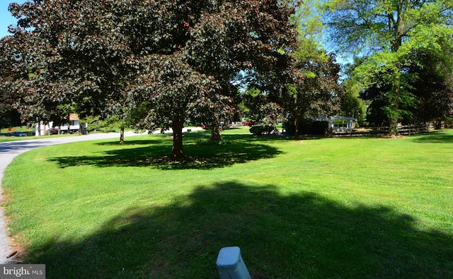 26 Shamrock Cir, Westminster, MD 21157 - view of green lawn
